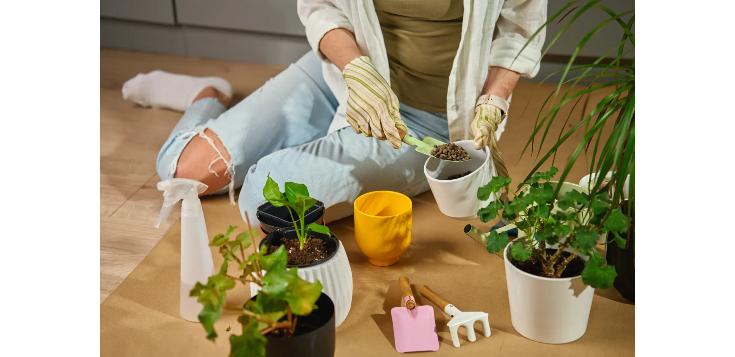 How to Save a Plant with Root Rot: Complete Step-by-Step Rescue