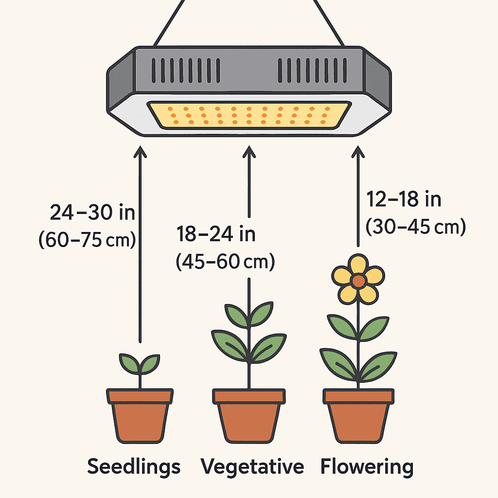 How Close Should Grow Lights Be to Plants? The Complete Guide