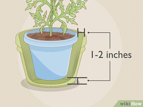 Step by Step Guide to Repotting House Plants for Beginners